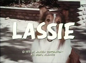 Lassie titles